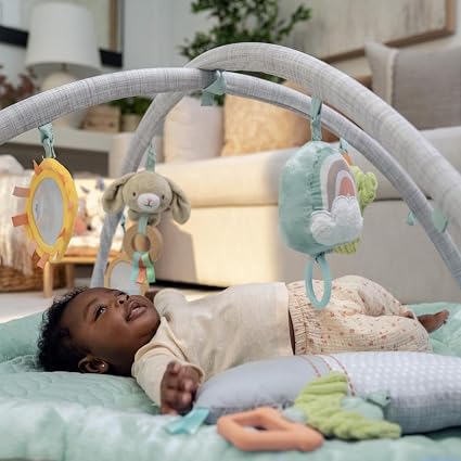 Ingenuity Plush Activity Gym. Chic Boutique