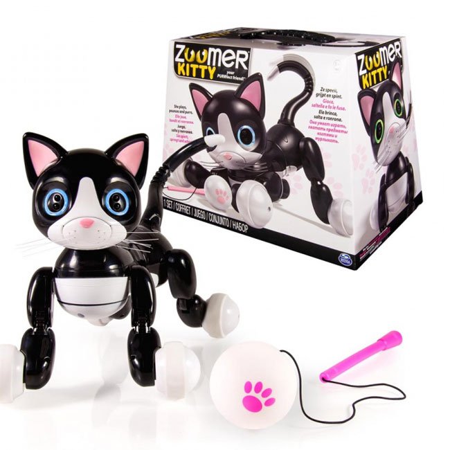 Zoomer Kitty