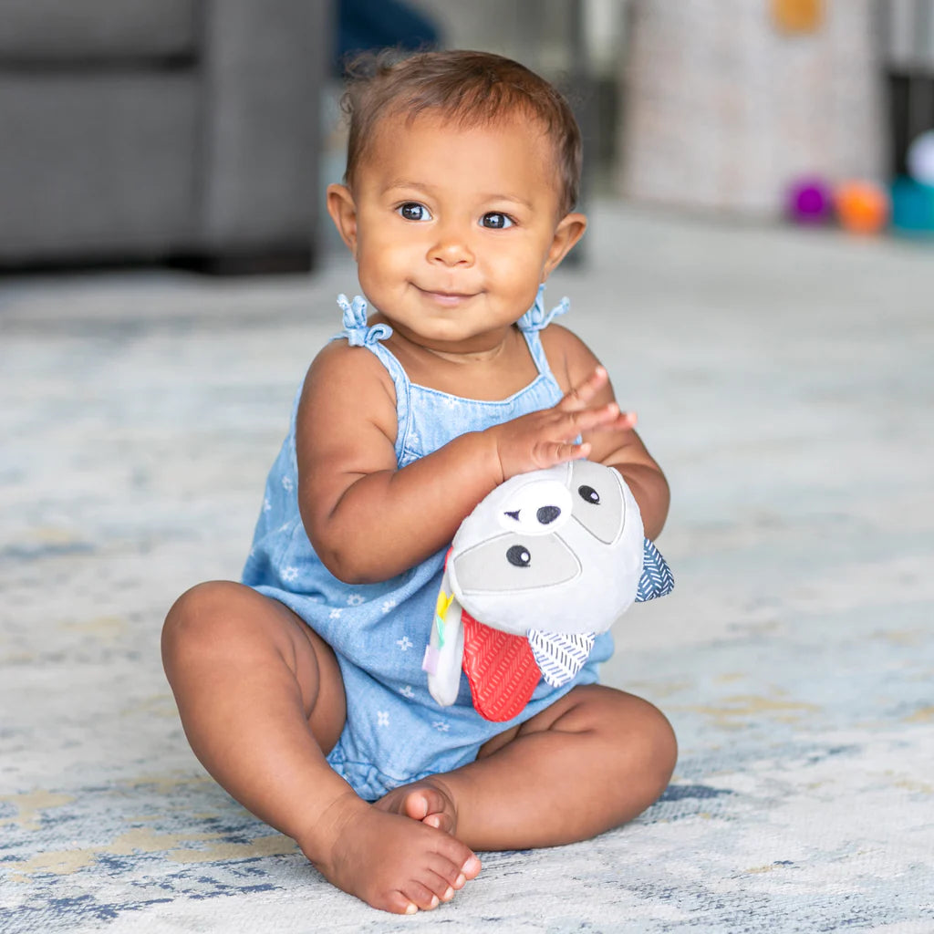 Infantino Seek & Squish Gel-Pouch Pal