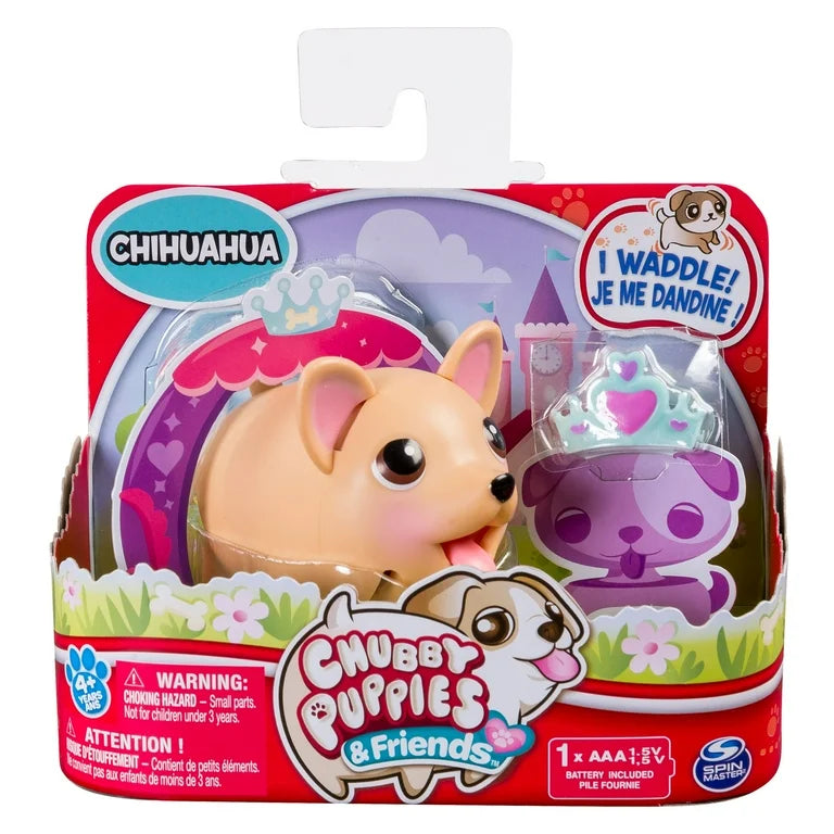 Shubby Chihuwahua