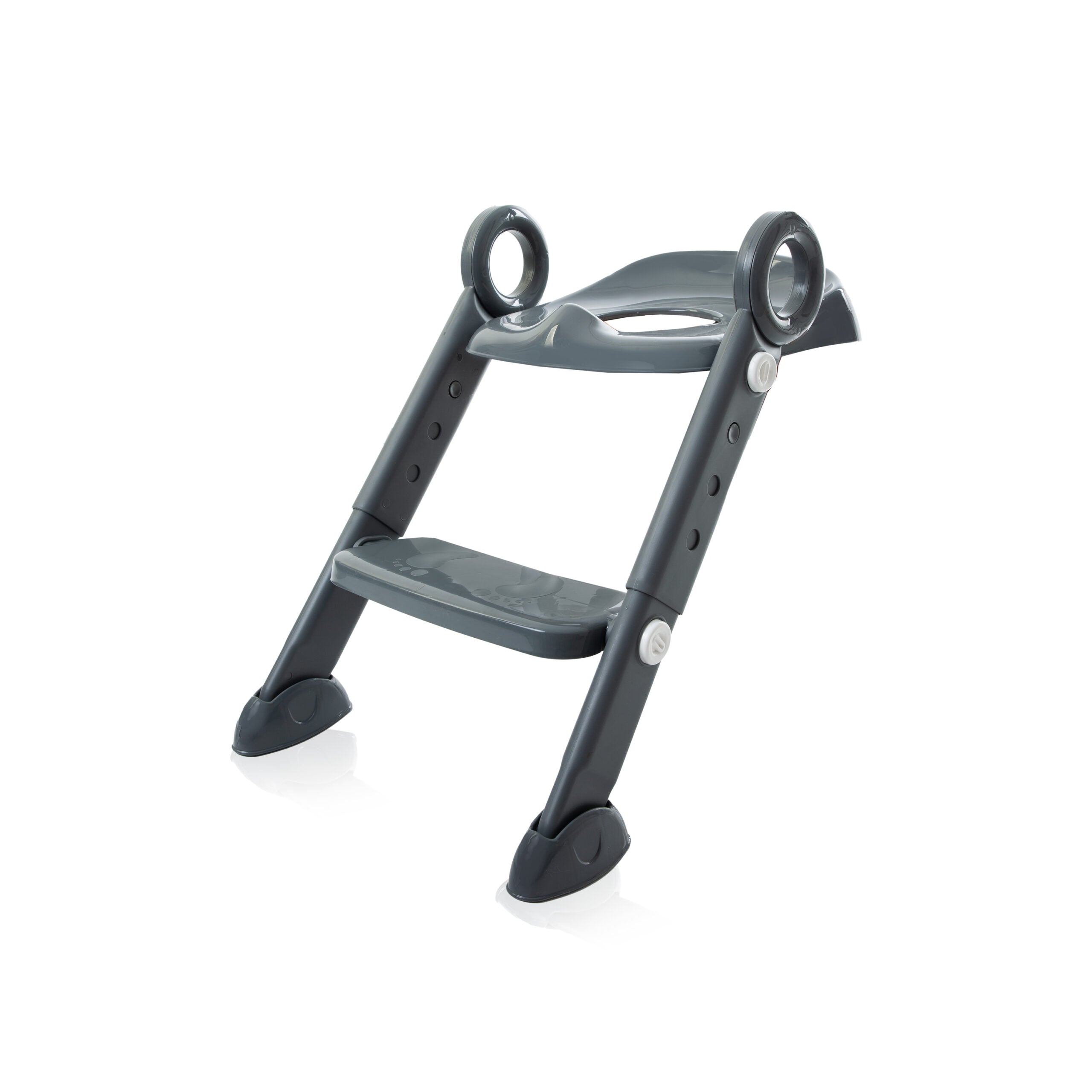Stepstool Potty Training with Ladder