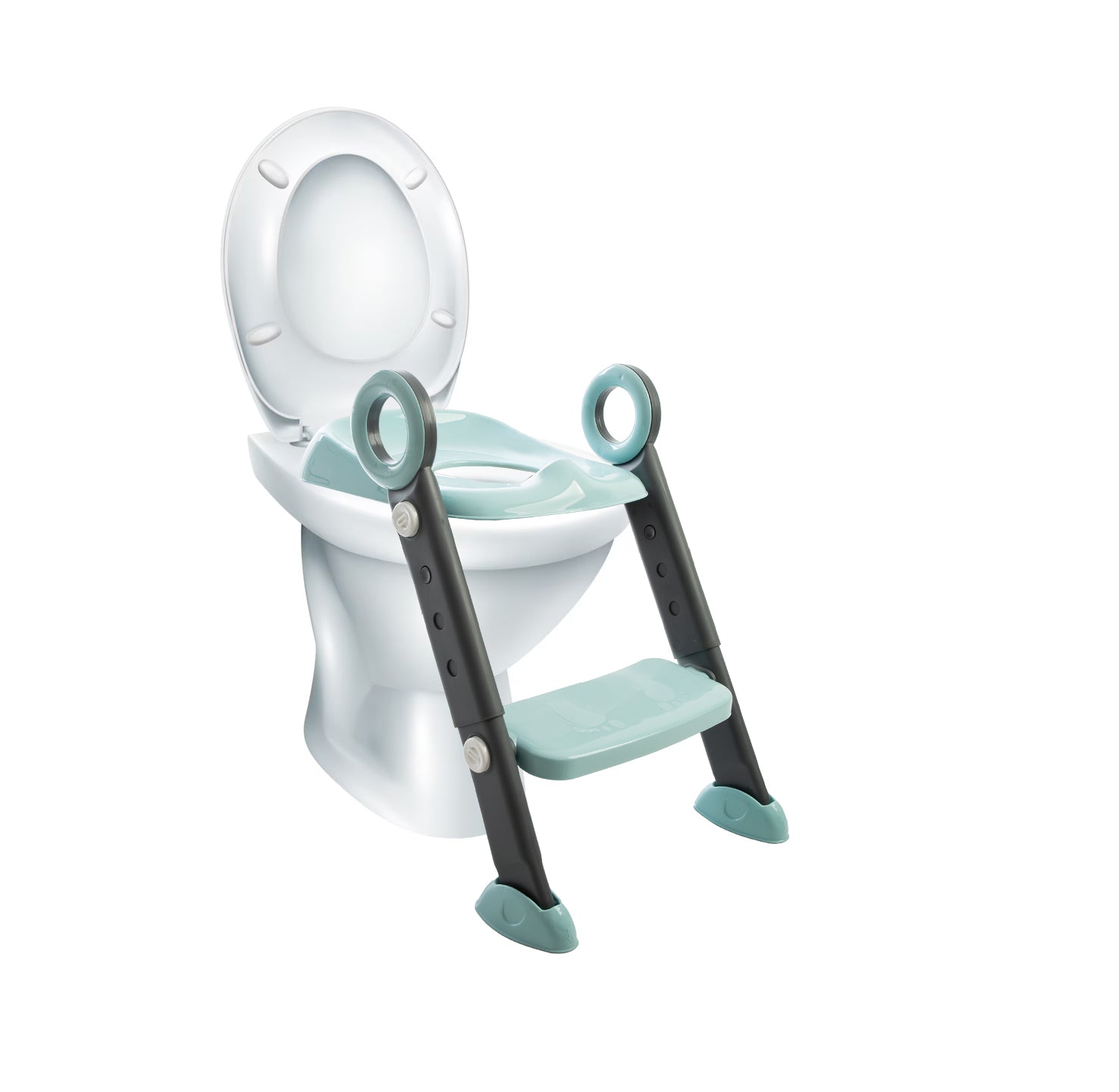 Stepstool Potty Training with Ladder