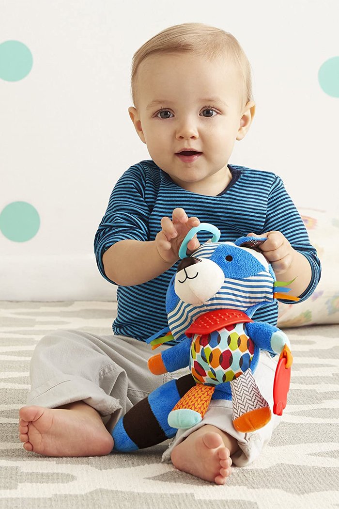 Skip hop activity raccoon