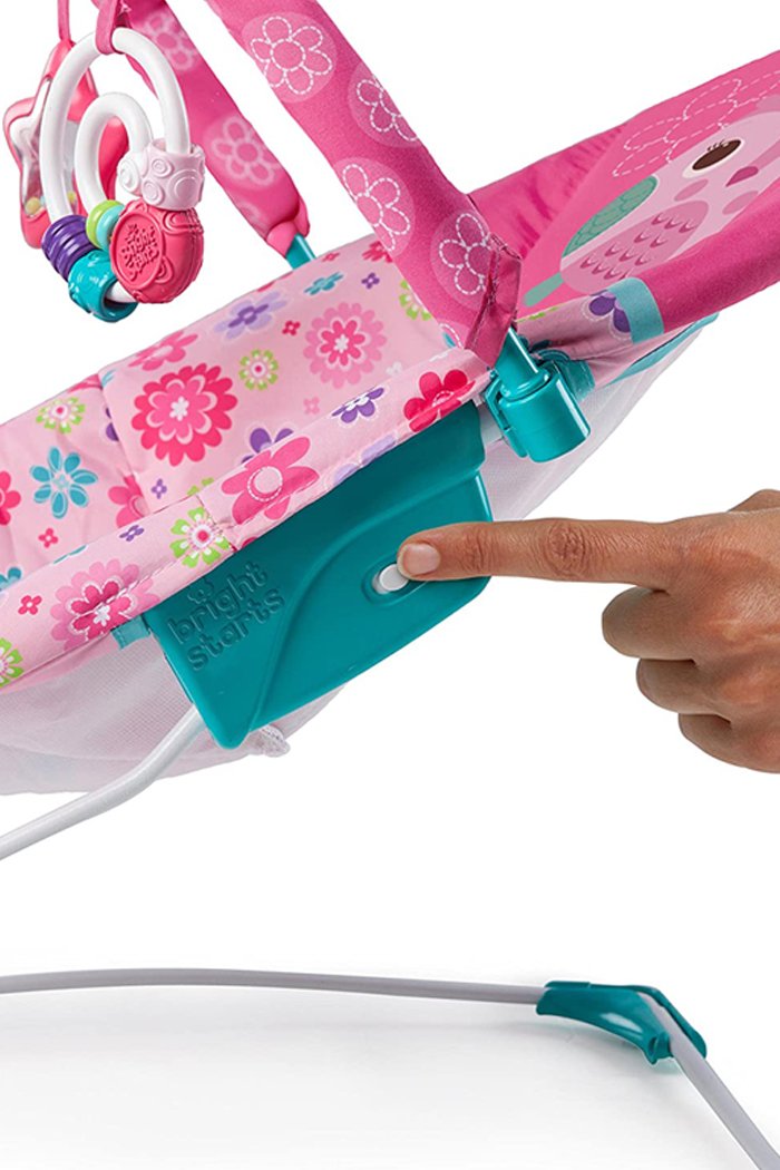 Bright starts happy flower bouncer