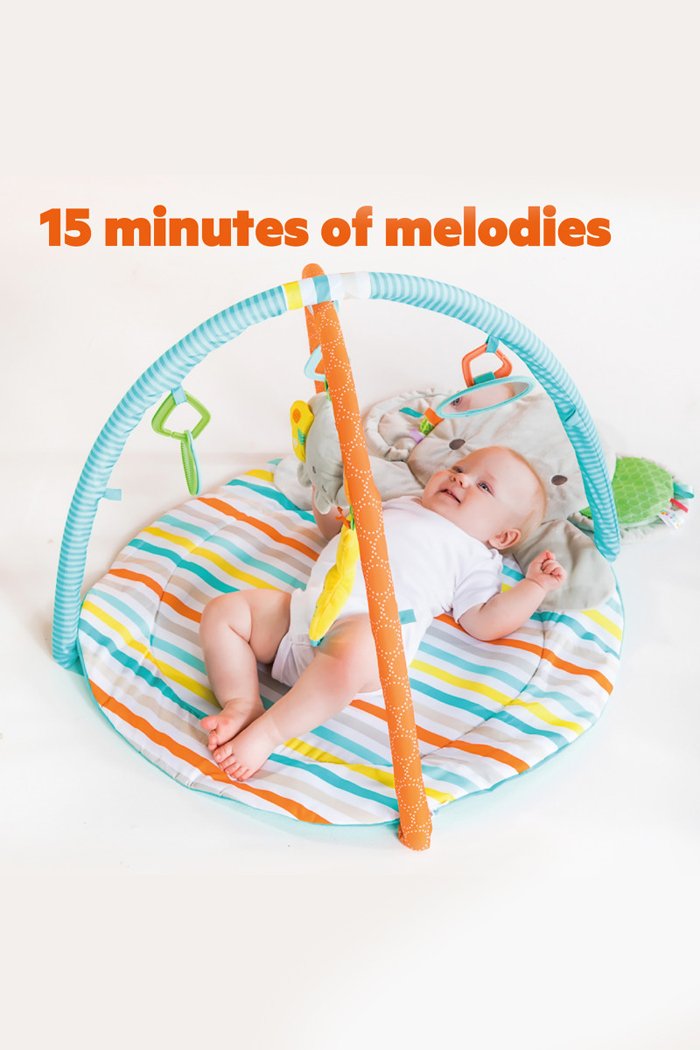 Bright starts hug-n-cuddle elephant activity gym