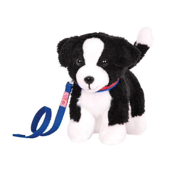 Our generation border collie pup