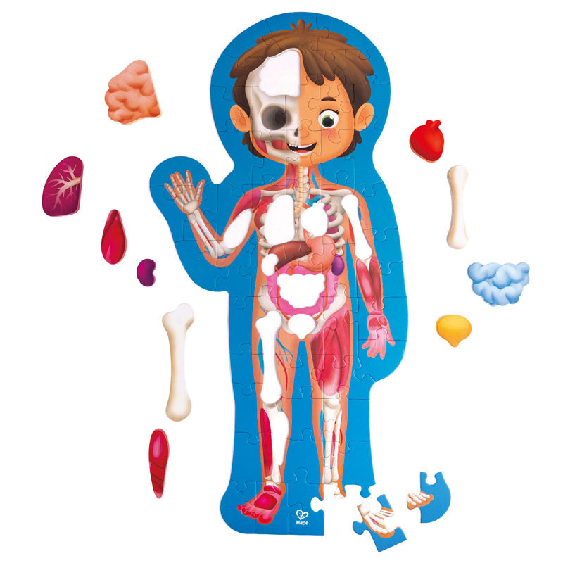 Human Body Puzzle