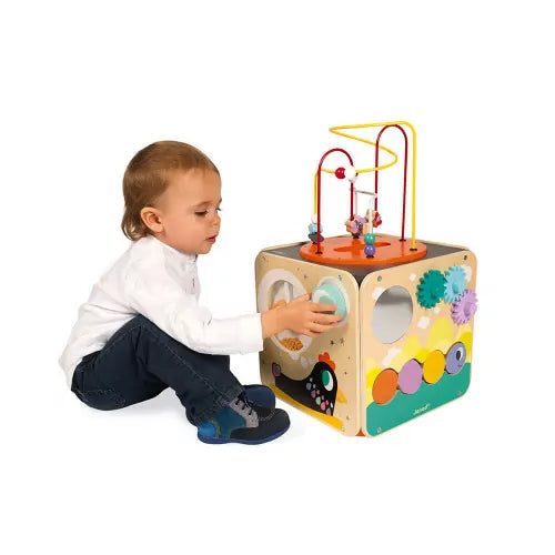 Janod Multi Activity Looping Toy 18M+