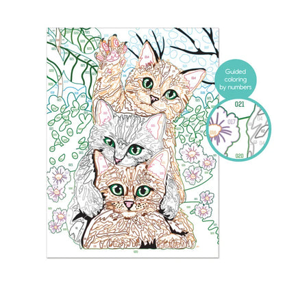 Paint &amp; Frame Funny Kitties