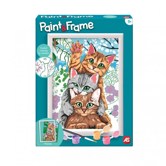 Paint &amp; Frame Funny Kitties