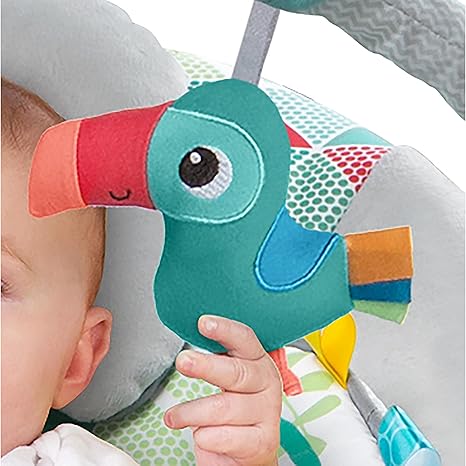 Bright Starts Cradling Bouncer Toucan Tango