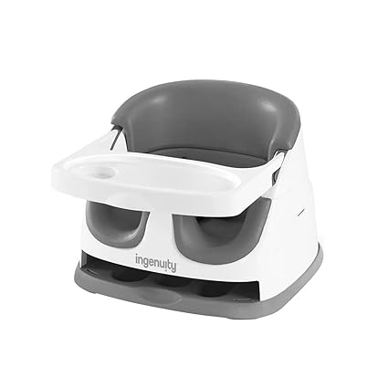 Ingenuity Baby Base 2 In 1 Seat Slate