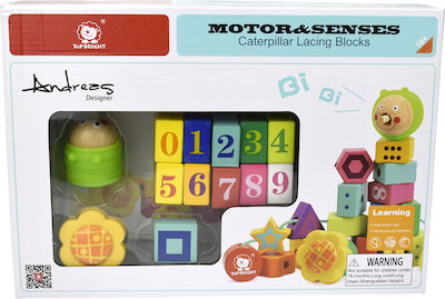 Motor &amp; Senses, Caterpillar Lacing Blocks