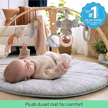 Ingenuity Duvet Activity Gym Loamy