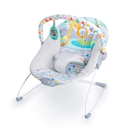 Ingenuity Safari Fun Vibrating Bouncer