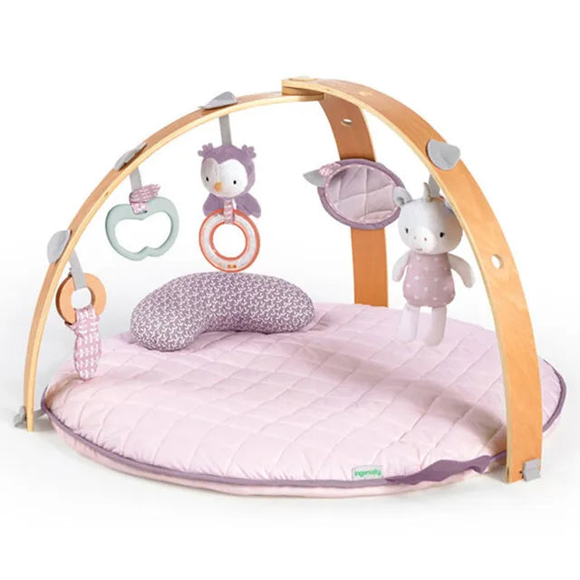 Ingenuity Cozy Spot Activity Gym Calla