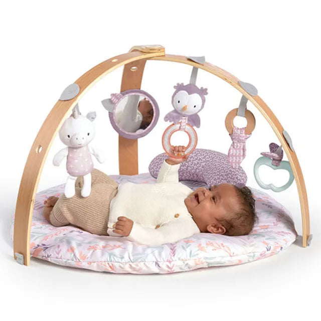 Ingenuity Cozy Spot Activity Gym Calla