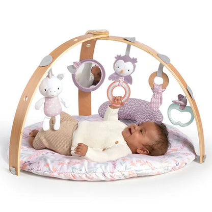 Ingenuity Cozy Spot Activity Gym Calla
