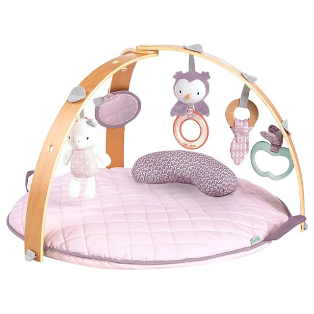 Ingenuity Cozy Spot Activity Gym Calla