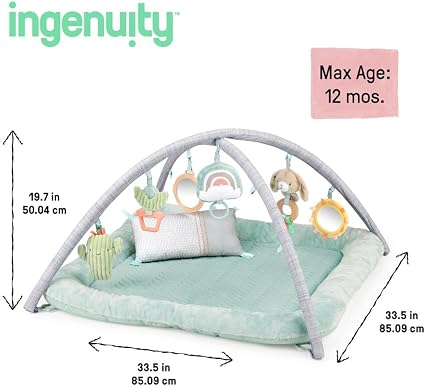 Ingenuity Plush Activity Gym. Chic Boutique