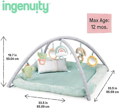 Ingenuity Plush Activity Gym. Chic Boutique