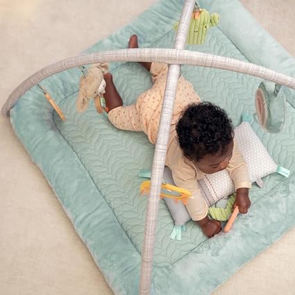 Ingenuity Plush Activity Gym. Chic Boutique
