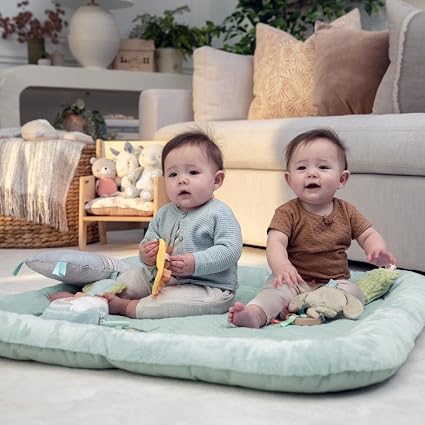 Ingenuity Plush Activity Gym. Chic Boutique