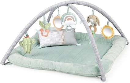 Ingenuity Plush Activity Gym. Chic Boutique
