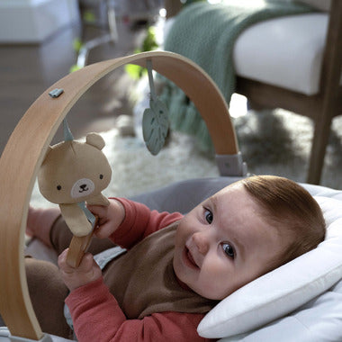 Ingenuity Soothing Bouncer, Cozy Spot