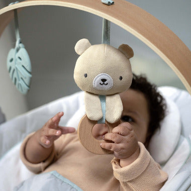 Ingenuity Soothing Bouncer, Cozy Spot