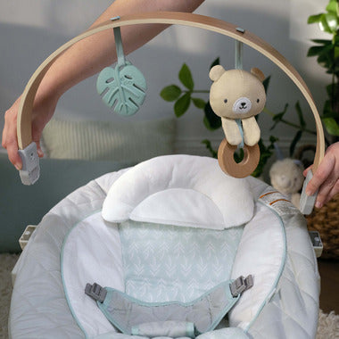 Ingenuity Soothing Bouncer, Cozy Spot