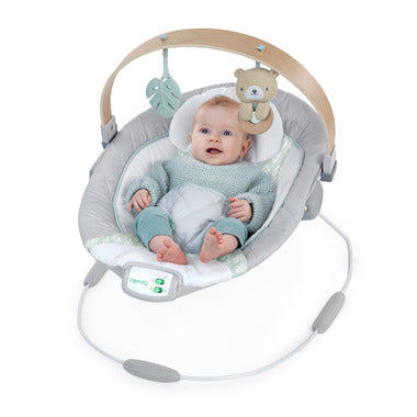 Ingenuity Soothing Bouncer, Cozy Spot