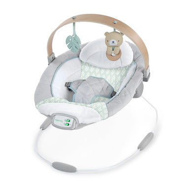 Ingenuity Soothing Bouncer, Cozy Spot