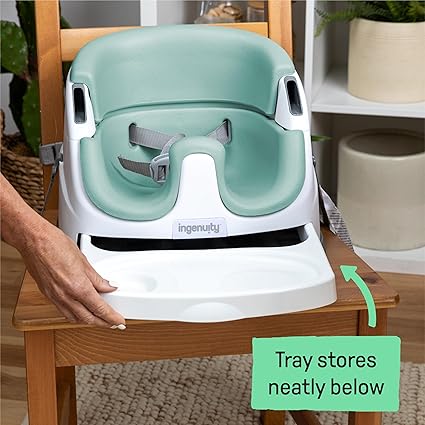 Ingenuity Baby Base 2 In 1 Seat Mist
