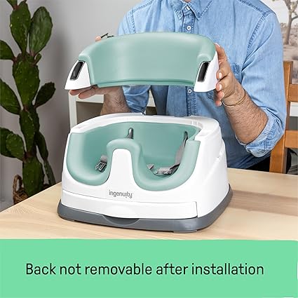 Ingenuity Baby Base 2 In 1 Seat Mist