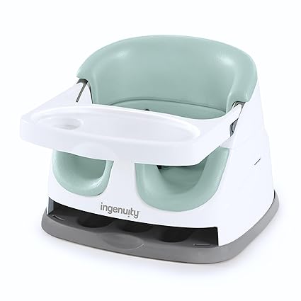 Ingenuity Baby Base 2 In 1 Seat Mist