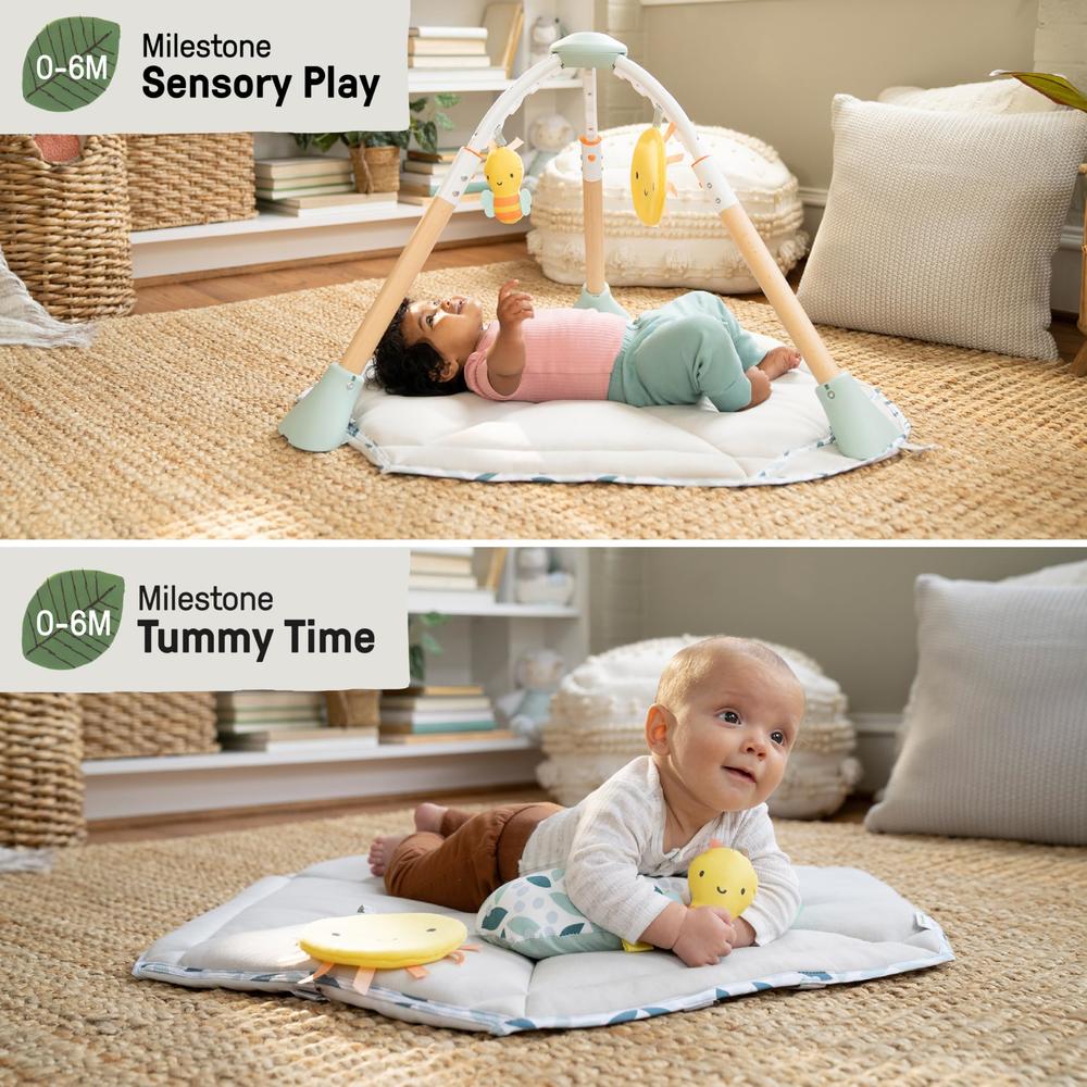 Ingenuity Tummy To Toes Activity center