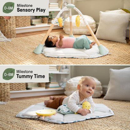 Ingenuity Tummy To Toes Activity center