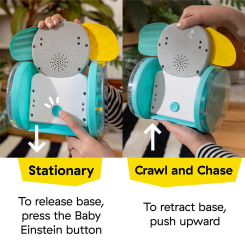BE Chase And Tap Earl