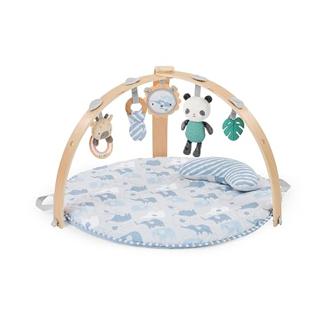 Ingenuity Cozy Spot Gym, Elephant March