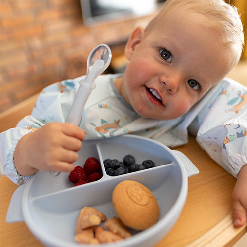 Silicone Suction Plate With Lid Blue