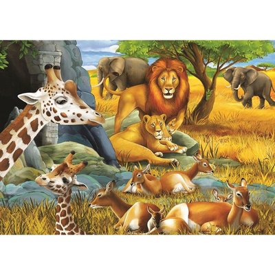 Forest Animals