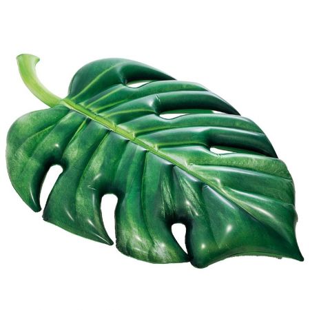 Intex Palm Leaf Mat