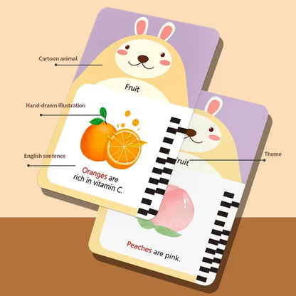 Smart Flash Card Reader