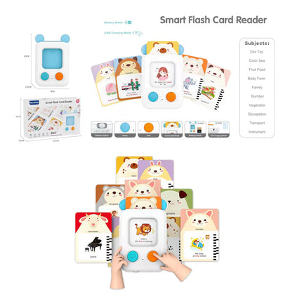 Smart Flash Card Reader