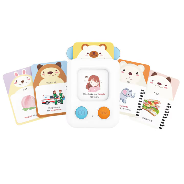 Smart Flash Card Reader