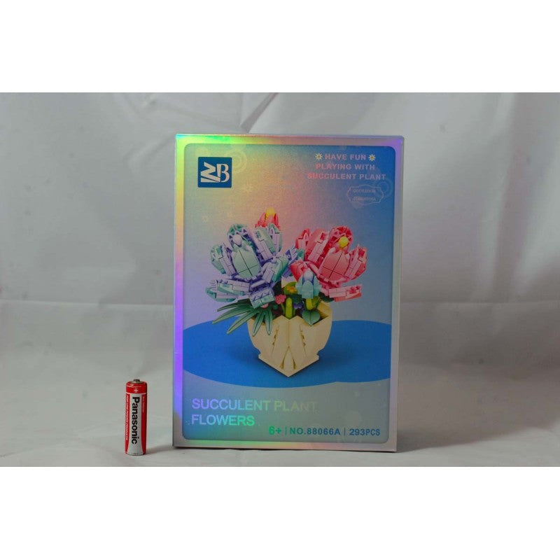 Succulant Plant Flowers