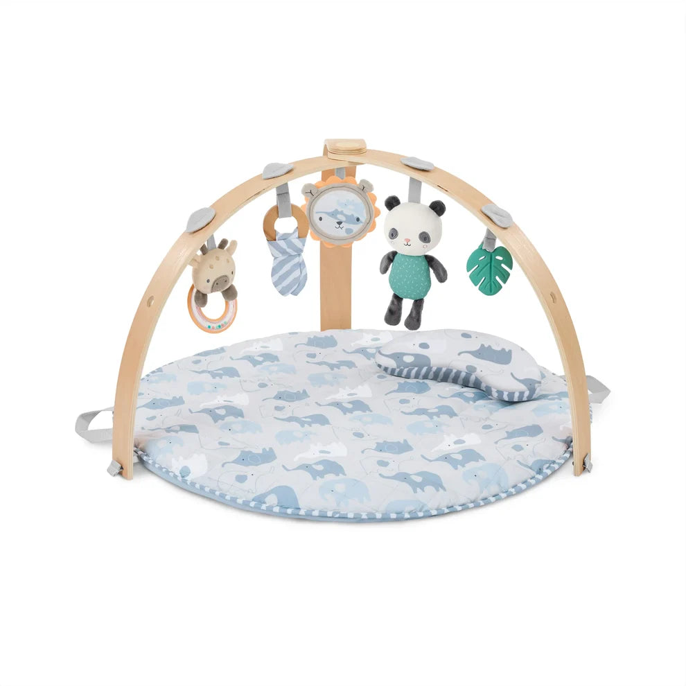 Ingenuity Cozy Spot Activity  Gym Calla