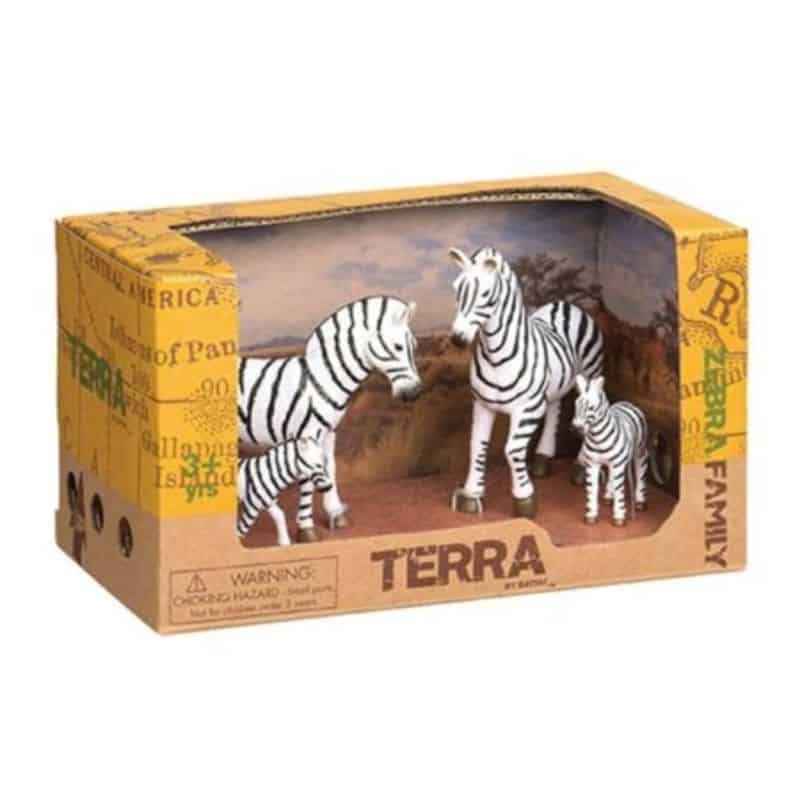 Terra zebra family