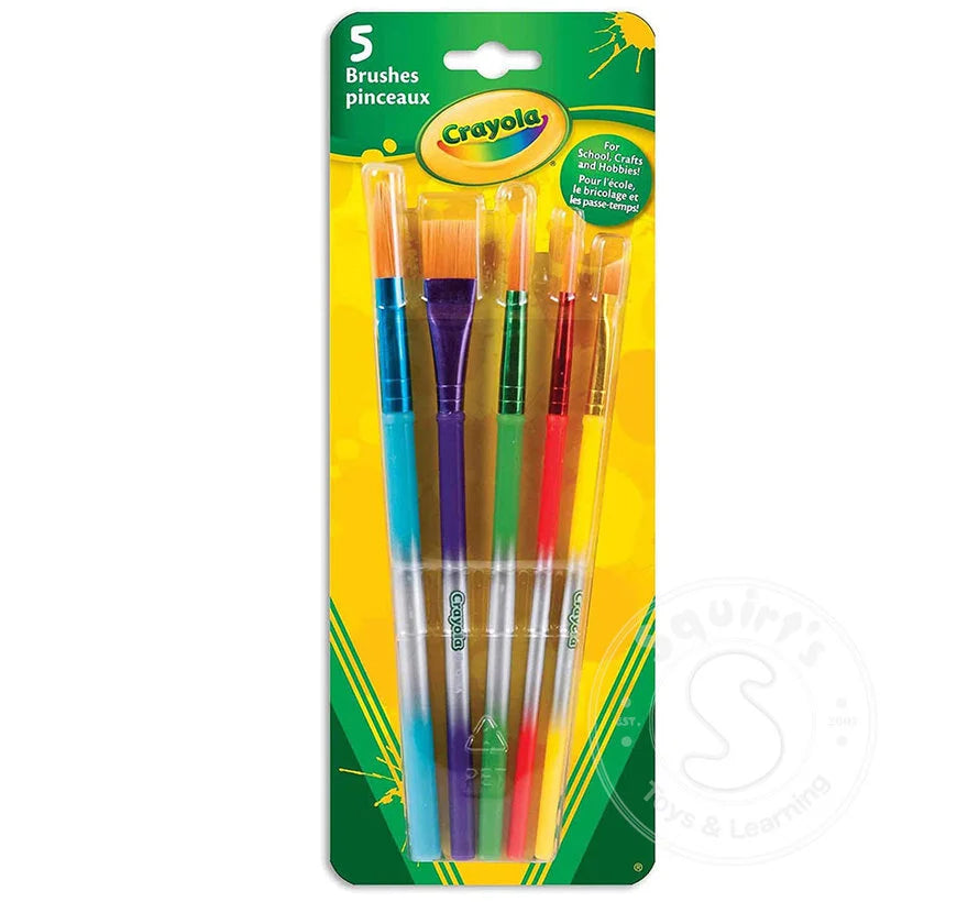 5 Assorted Paintbrushes